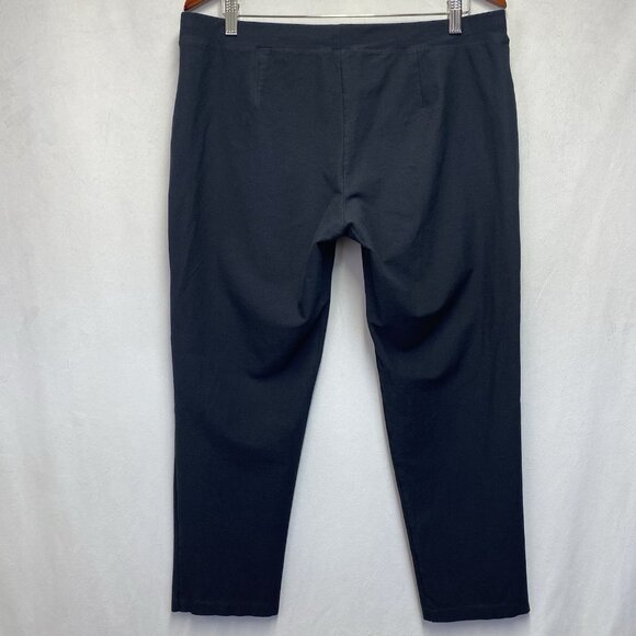 Eileen Fisher Elastic Waistband Pull On Slim Ankle Pants Women Large Dark Gray - Picture 2 of 10